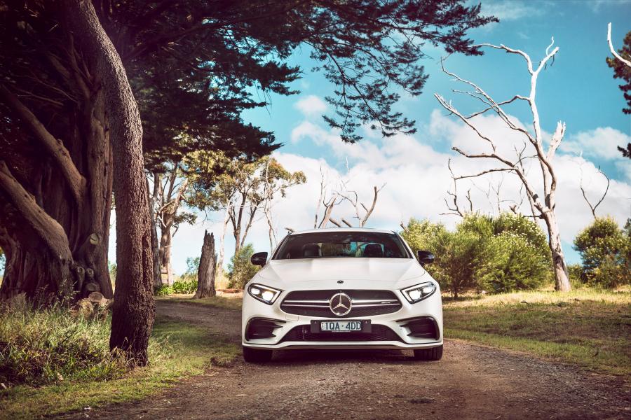  Mercedes-AMG CLS53 4Matic+ (C257) 2019 года  (AU) (фото 39 из 40)